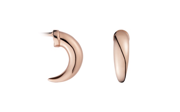Boucles d’oreilles Corne Boucles d’oreilles Corne